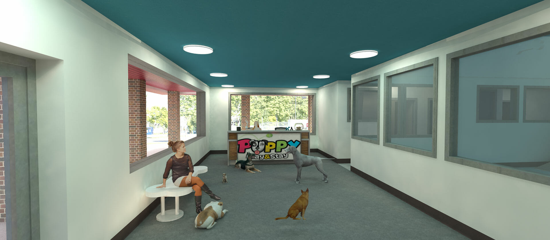 Puppy Play and Stay Dog daycare, boarding, dog grooming, Lakeville,MN