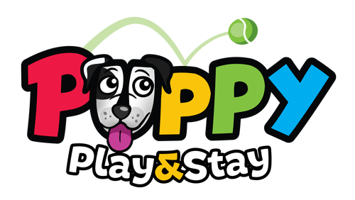 Doggy daycare and boarding best sale near me