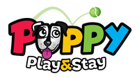 Puppy Play&Stay